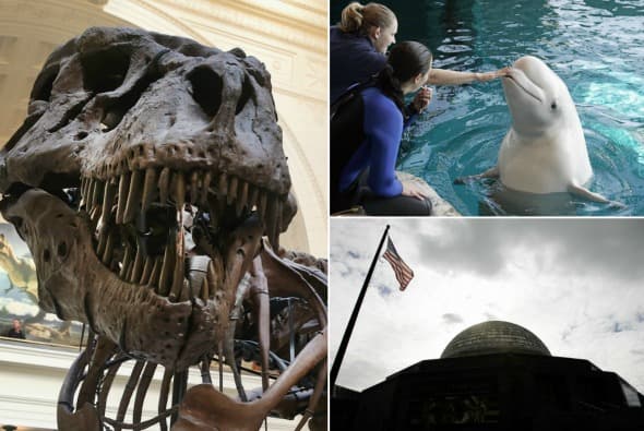 Actividades culturales para niños y familias gratis este verano en Chicago 