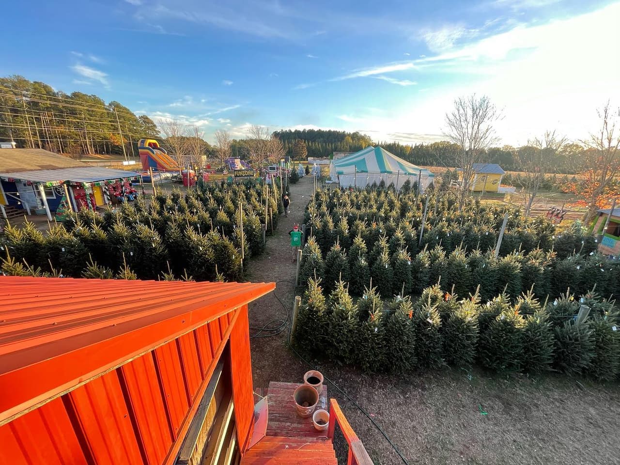 <b>Yule Forest (Hasta el 16 de diciembre)</b>
<br>
<b>Dirección</b>: 3565 GA-155 N. Stockbridge, GA
<br>
<b>Teléfono</b>: 770-954-9356
<br>
<b>Sitio web</b>: 
<a href="https://yuleforest.com/christmas-tree-farm.html">https://yuleforest.com/christmas-tree-farm.html</a> 
<br>
<b><a href="https://maps.app.goo.gl/KinLFtxyDJ9N4d4K6">Cómo llegar</a></b>
<br>
<br>La granja ofrece variedad de árboles y el personal está disponible para ayudar a cortar, sacudir, empacar, pintar (si lo quieres) y cargarlo en tu vehículo. La granja ofrece un ambiente festivo con sidra de manzana caliente, un zoológico interactivo, una zona de diversión para niños y visitas de Papá Noel.