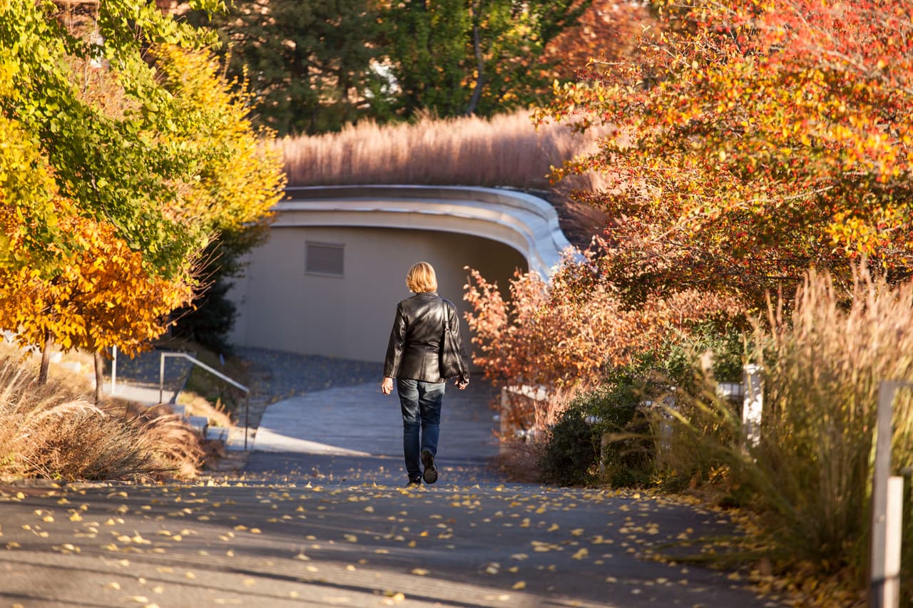 Para comodidad de las personas, pueden inscribirse a los informes y recibirlos directamente a su email. Solo tienen que escribir a: iloveny.com/foliage.mpire Programa I LOVE NY de State Development.