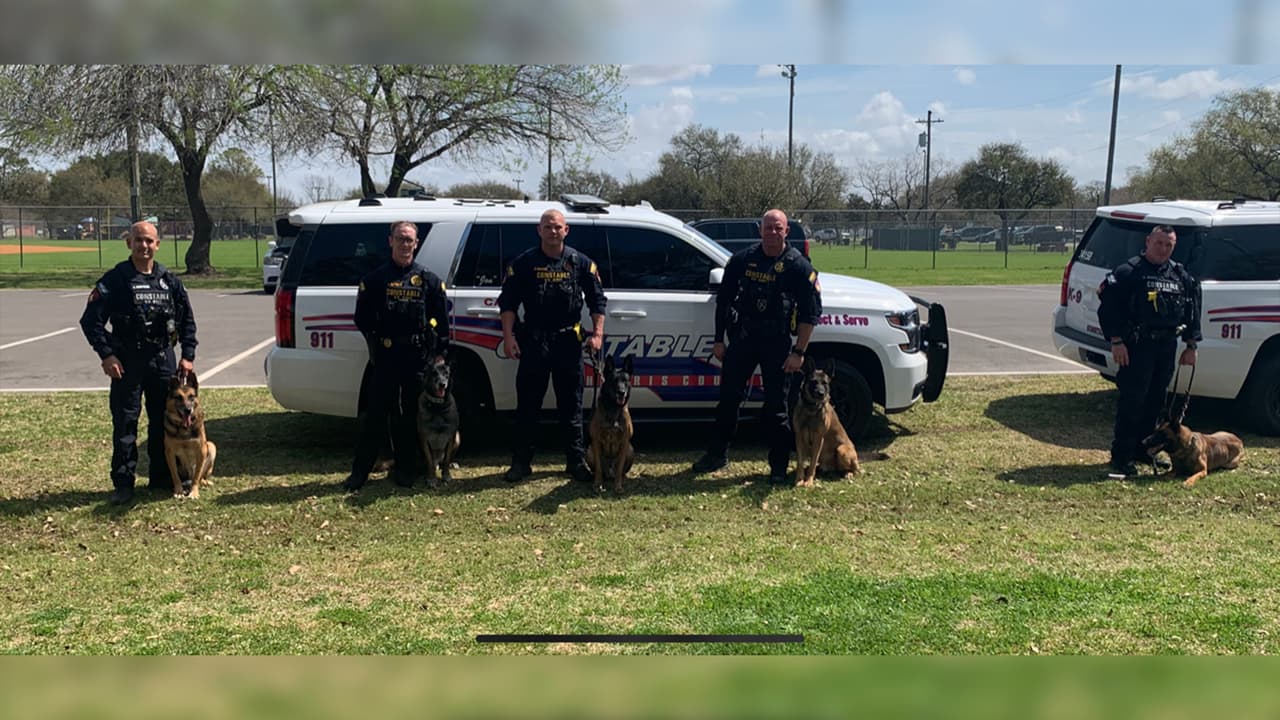 El oficial George Henson es un manejador con experiencia de elementos caninos K9.