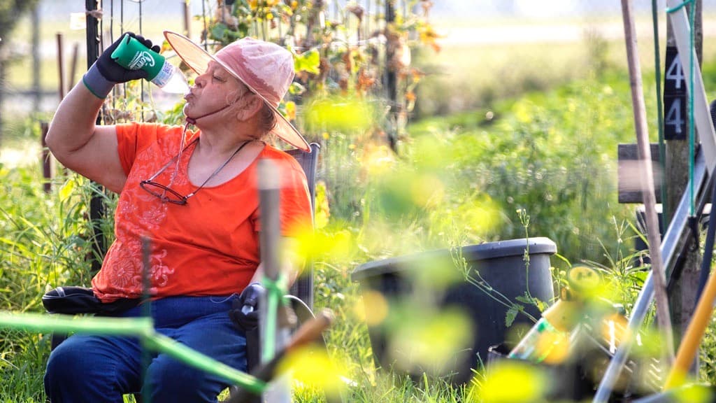 Ola de calor azota el sur de EEUU durante todo el fin de semana: te explicamos las razones