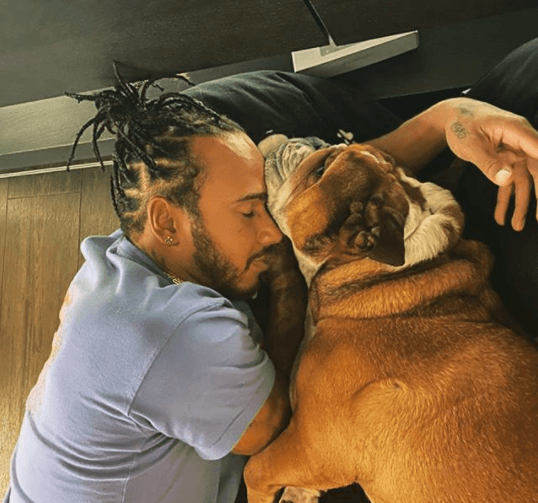 Incluso tiene cuenta propia de Instagram.