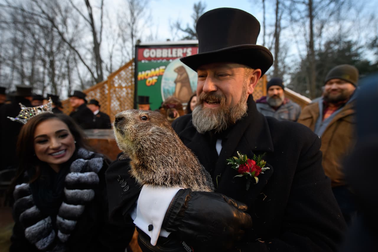 La ceremonia anual se organiza en Gobbler's Knob, ubicado en Punxsutawney, pequeña ciudad del oeste de Pensilvania.