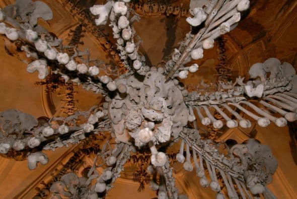 Parece como si fuera una gran araña.