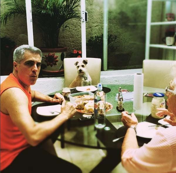 Las mascotas siempre son parte de la familia.