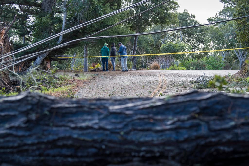 Sylan Road, en Monterey, se convirtió en un reto para las autoridades por la gran cantidad de árboles que cayó sobre el cableado eléctrico.