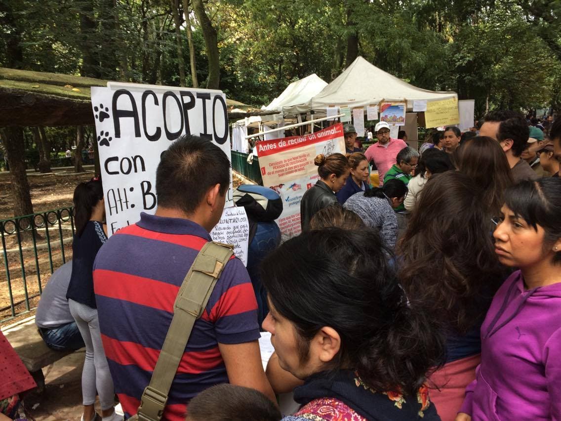Alrededor del albergue, decenas de personas hacen largas filas para entrar y buscar a sus animales, otros tantos llegan porque quieren ofrecerles un hogar. 
<br>