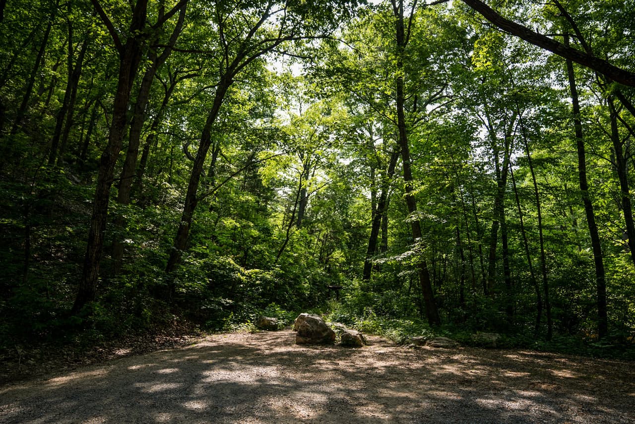 Avión que provocó emergencia en Washington DC se desplomó a alta velocidad “casi en línea recta”