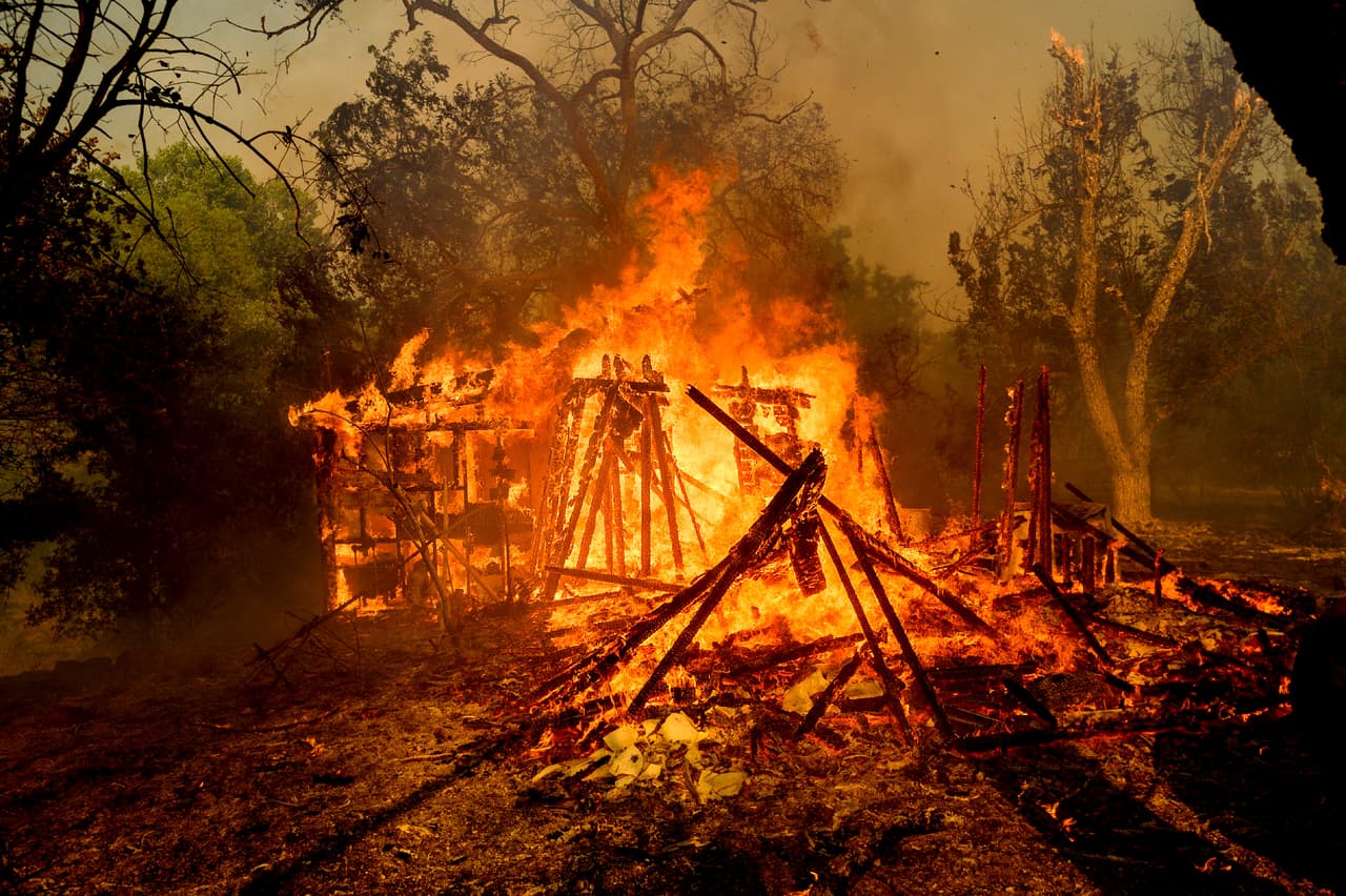 Más de 1,500 bomberos intentan sofocar las llamas de los siniestros que se extienden desde Vacaville, en el norte de la Bahía, hasta las montañas de Santa Cruz, en la costa sur de la región.