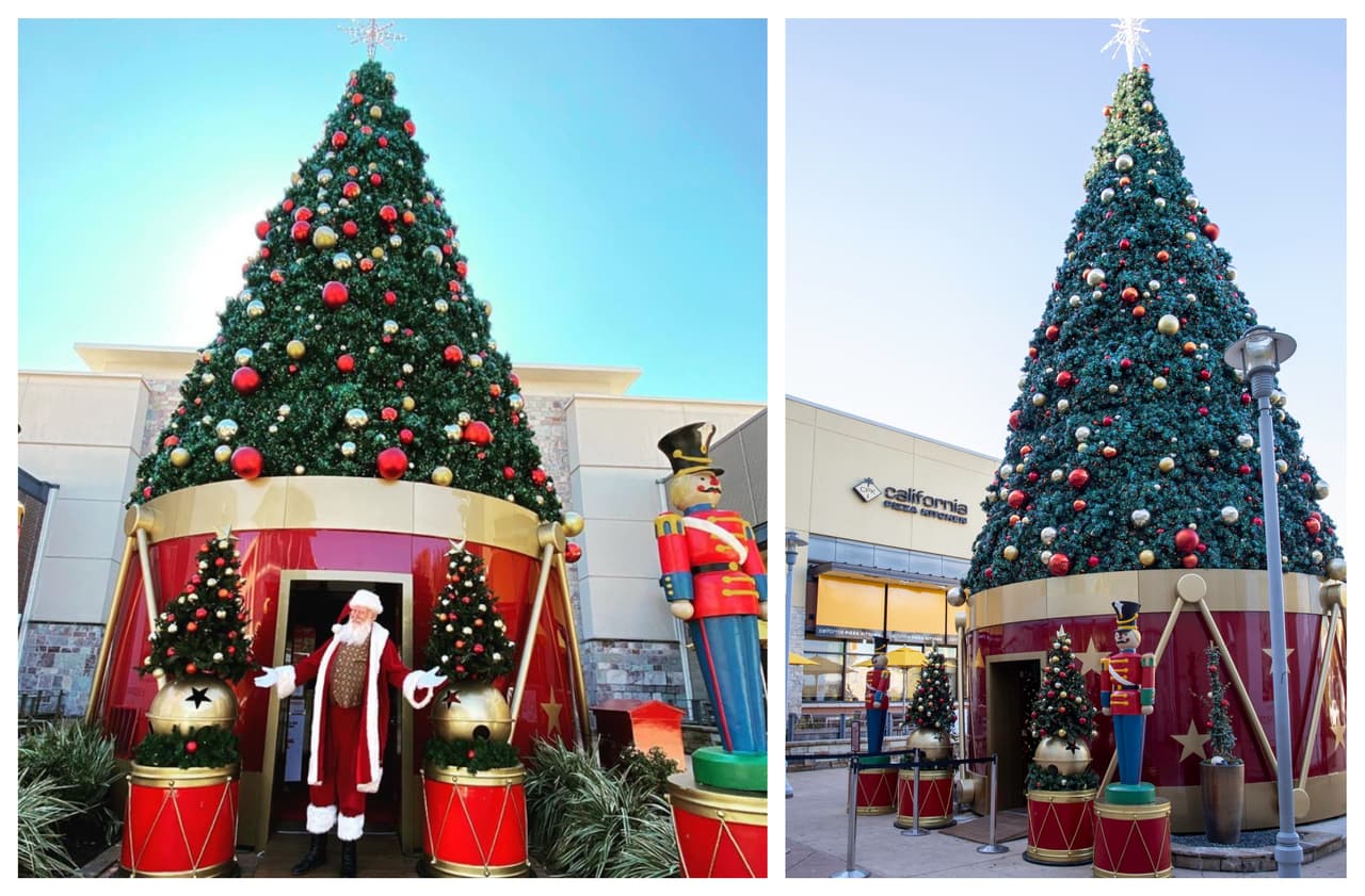 The Domain realizará actividades musicales para celebrar la Navidad