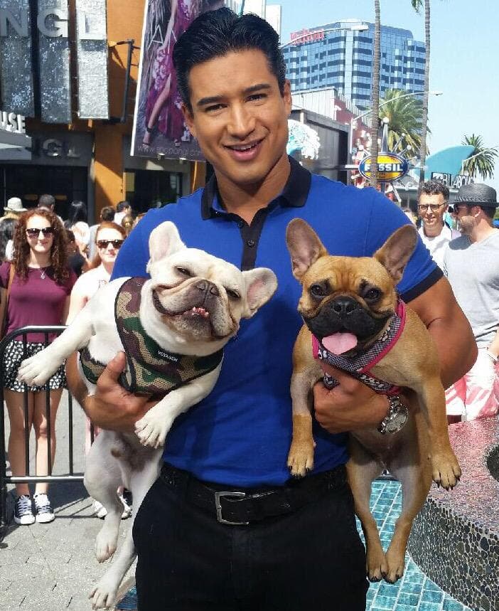 “¡Feliz Día Nacional del perro a estos pequeños mostritos! Los amo…”-Mario Lopez.