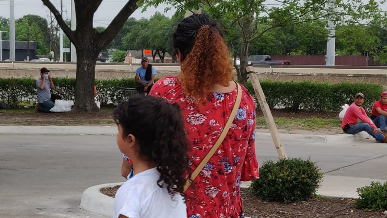 Más informes con la organización Alianza. 832-896-3204.