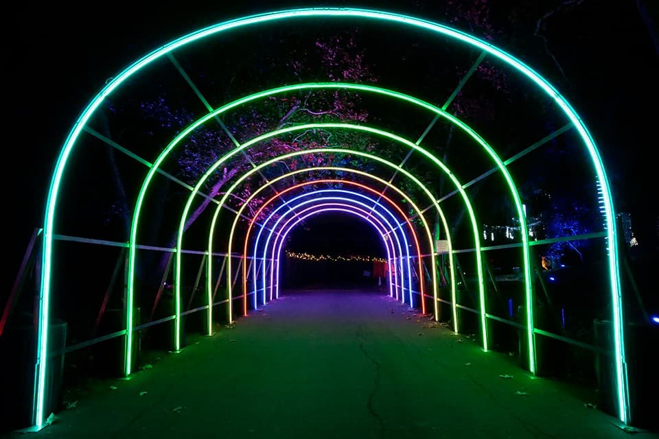 Después de conducir por el camino y ver a Santa y la Sra. Claus, los elfos y más, puedes visitar la tienda de regalos, los camiones de comida y el bar navideño.