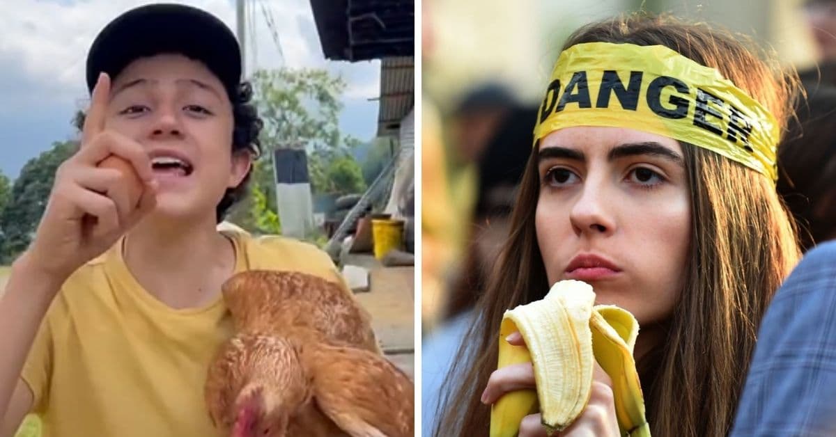 Criticaron a un niño granjero por sus gallinas, pero él respondió de la mejor manera
