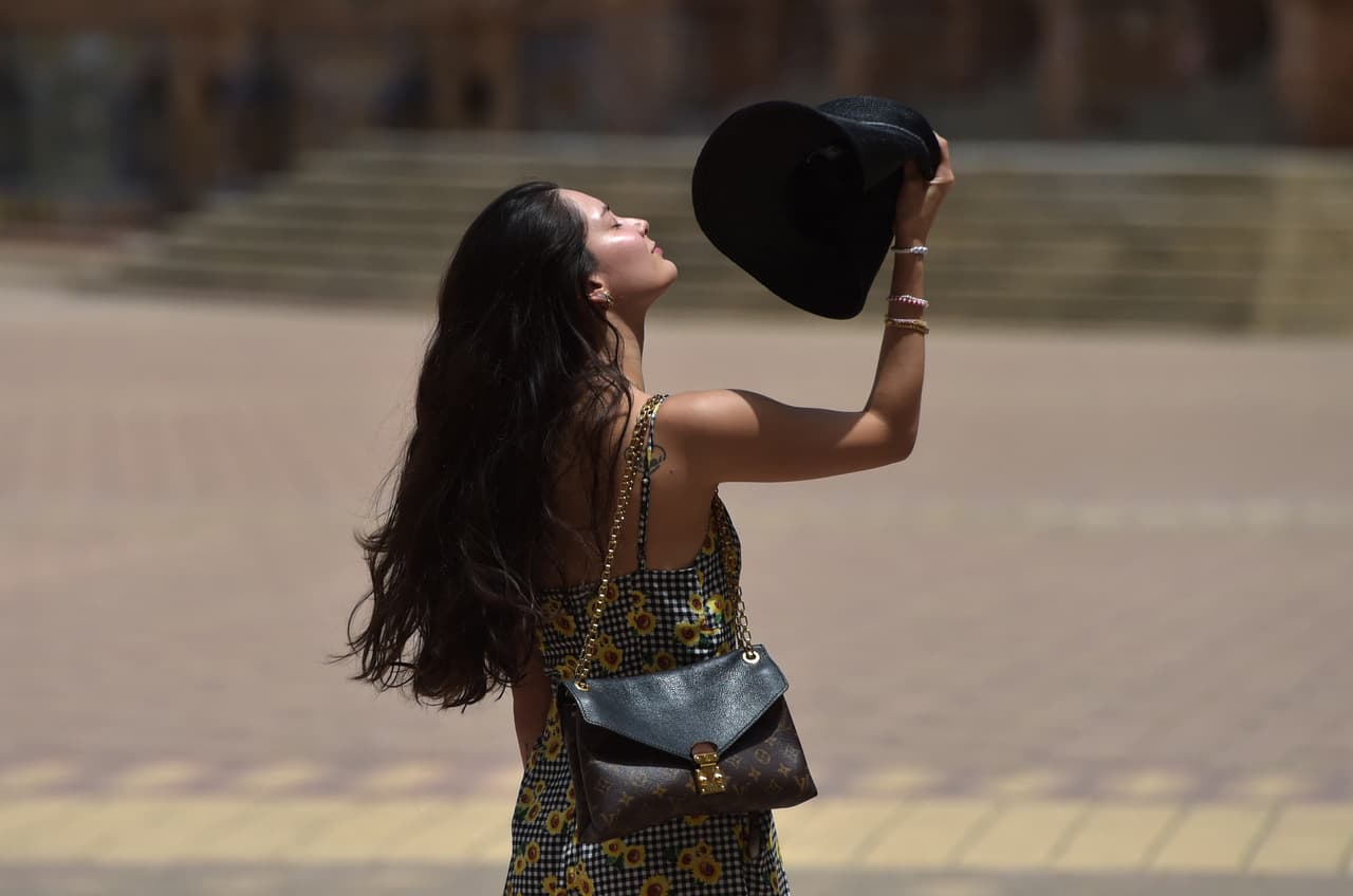 Utiliza sombrero que tenga un alo alrededor que ayude a proteger no sólo la cabeza, sino también orejas y cuello.