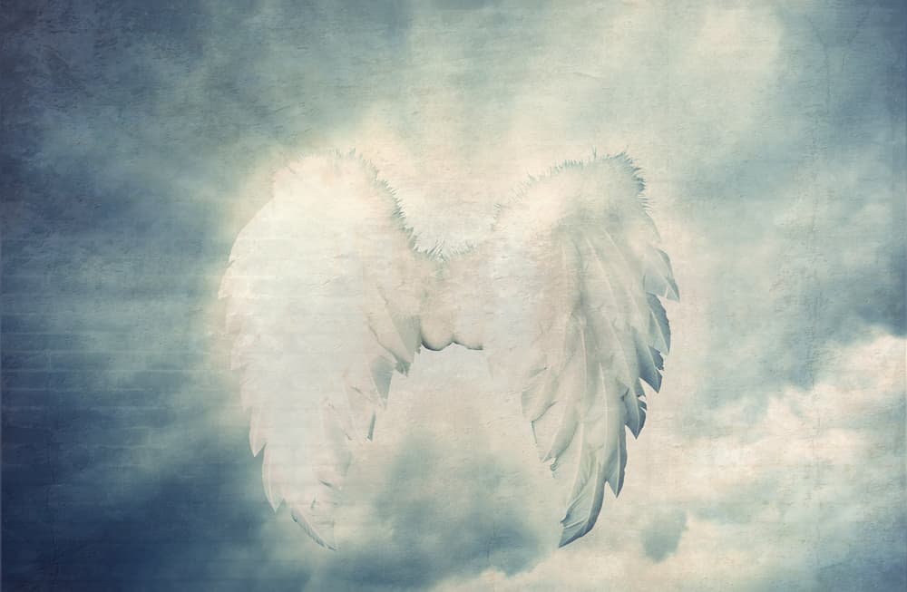 <u>Arcángeles Metatrón y Jofiel</u> 
<br>Dos hermosos arcángeles llegan para decirte que en la época de fin de año del 2019 sus amorosas auras te rodearán para que sientas paz interior, la cual es la verdadera felicidad. Velas de cualquier color, pero si deseas escoger uno, la sugerencia es el dorado. 
<br>