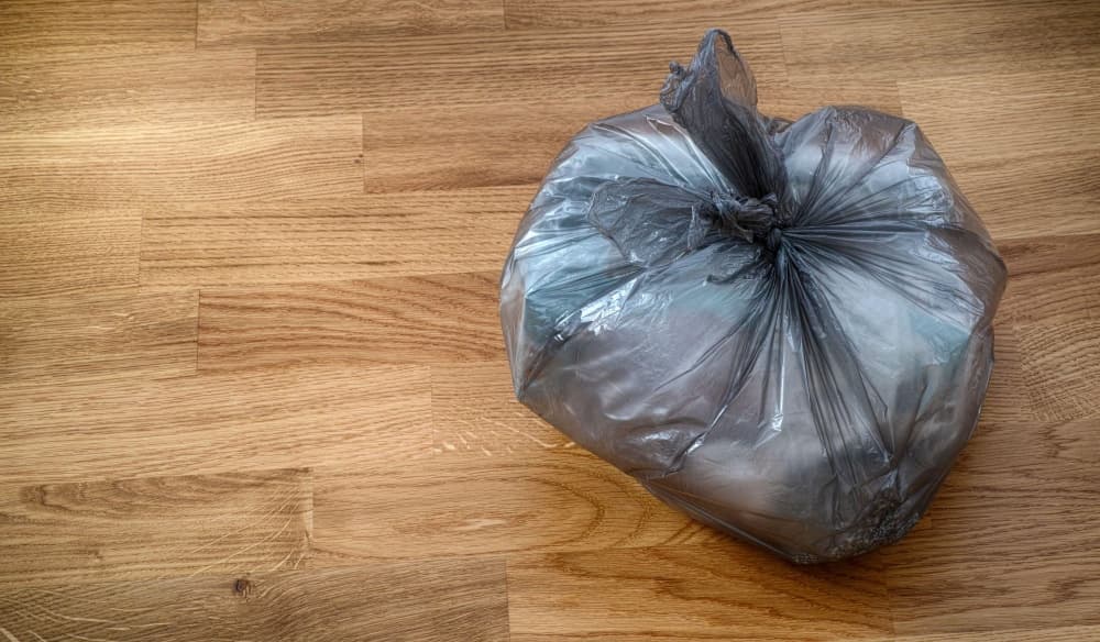 Las chicas no pudieron evitar ver dentro de la bolsa negra de basura que había bajo la cama