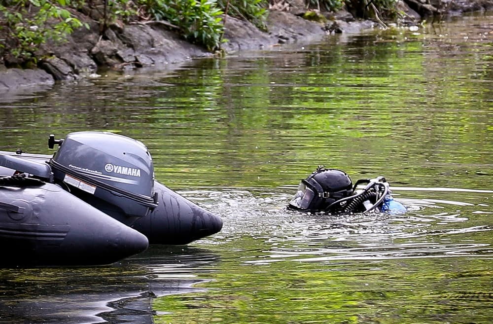 El primero en descubrir el cuerpo -que 
<b>apareció completamente desnudo</b>- fue un trabajador de mantenimiento del parque, poco antes de la 1:00 pm (hora local). Inicialmente las autoridades no fueron capaces de determinar si era un hombre o una mujer debido al estado del cuerpo.