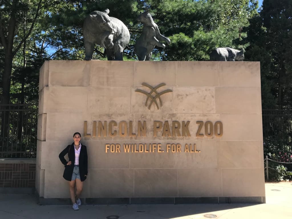 La entrada al 
<b>Lincoln Park</b> es gratis y el zoológico no es muy grande, pero tiene muchos animales que ver y todos están muy bien cuidados.