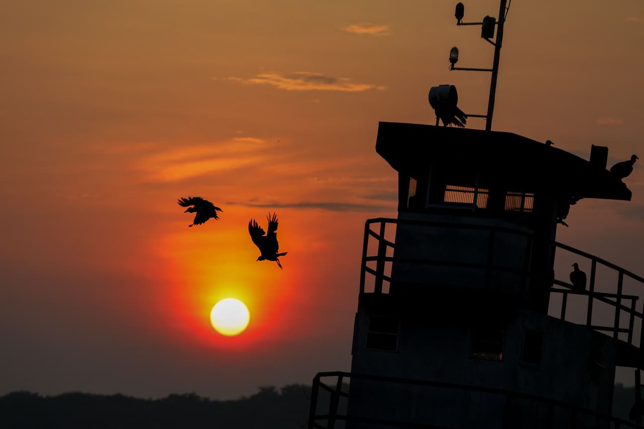 Científicos advierten devastadoras consecuencias por el calentamiento global.