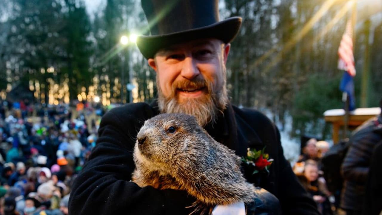 Día de la marmota: una tradición popular basada en la ciencia 
