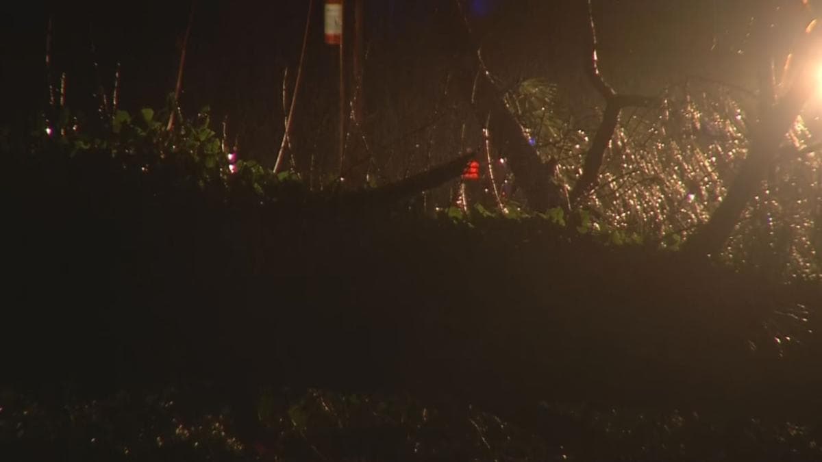 Daños causados por lluvias en el área metropolitana de Atlanta.