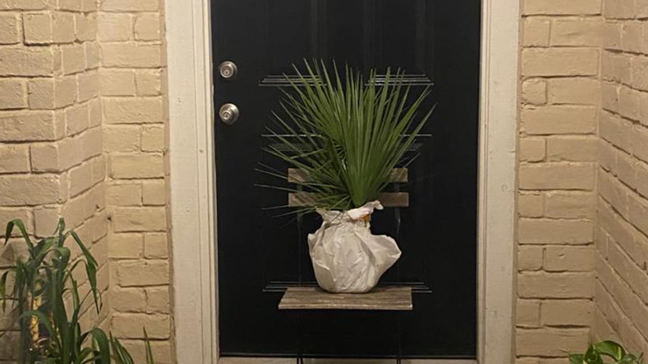 Las decoraciones varían.