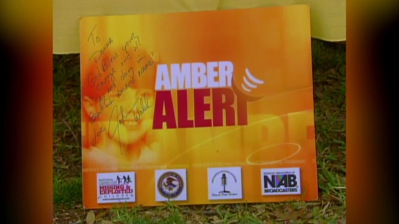 La Alerta Amber: ¿Cómo funciona? y ¿por qué es crucial para hallar a salvo a menores?