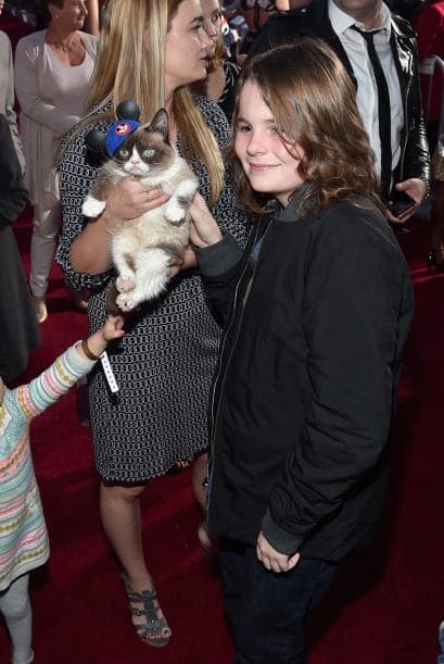 Una celebridad arizonense captó la atención de las cámaras durante la alfombra roja del estreno de la película de Disney "Cinderella". Sin embargo, no se trata de un actor, músico o atleta, sino del famoso Grumpy Cat, quien cautivó a más de uno con su carita de enojado. Hasta los cineastas de "Frozen" se tomaron una foto con el felino. Aunque parece molesto, al parecer al gatico le gustan las cámaras porque estuvo muy tranquilo mientras explotaban las luces de los fotógrafos.