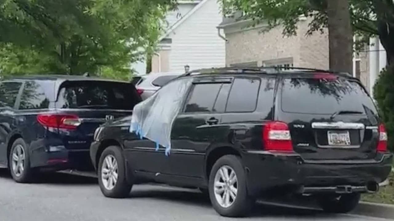 Investigan vandalización de más de 100 autos en Maryland
