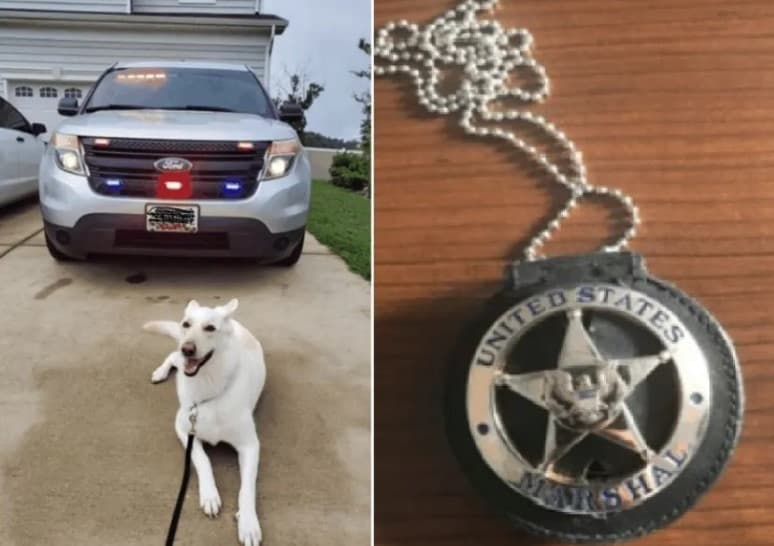 Se hacía pasar por alguacil federal, pero su falso “perro policía” lo delató