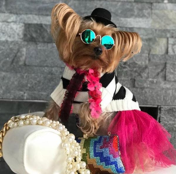 "Mi querida 'Chanelita' está de cumpleaños, una cosita pequeña a quien cuido y quiero. Algo pequeño que ocupa un lugar tan grande e importante en mi vida, mi muñequita linda ¡Feliz cumpleaños! Próximamente 'Gsol', línea de ropa edición limitada", compartió con sus seguidores.