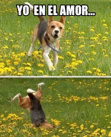 Tengas pareja o no, diviértete un poco con estas imágenes del Día del Amor y la Amistad.