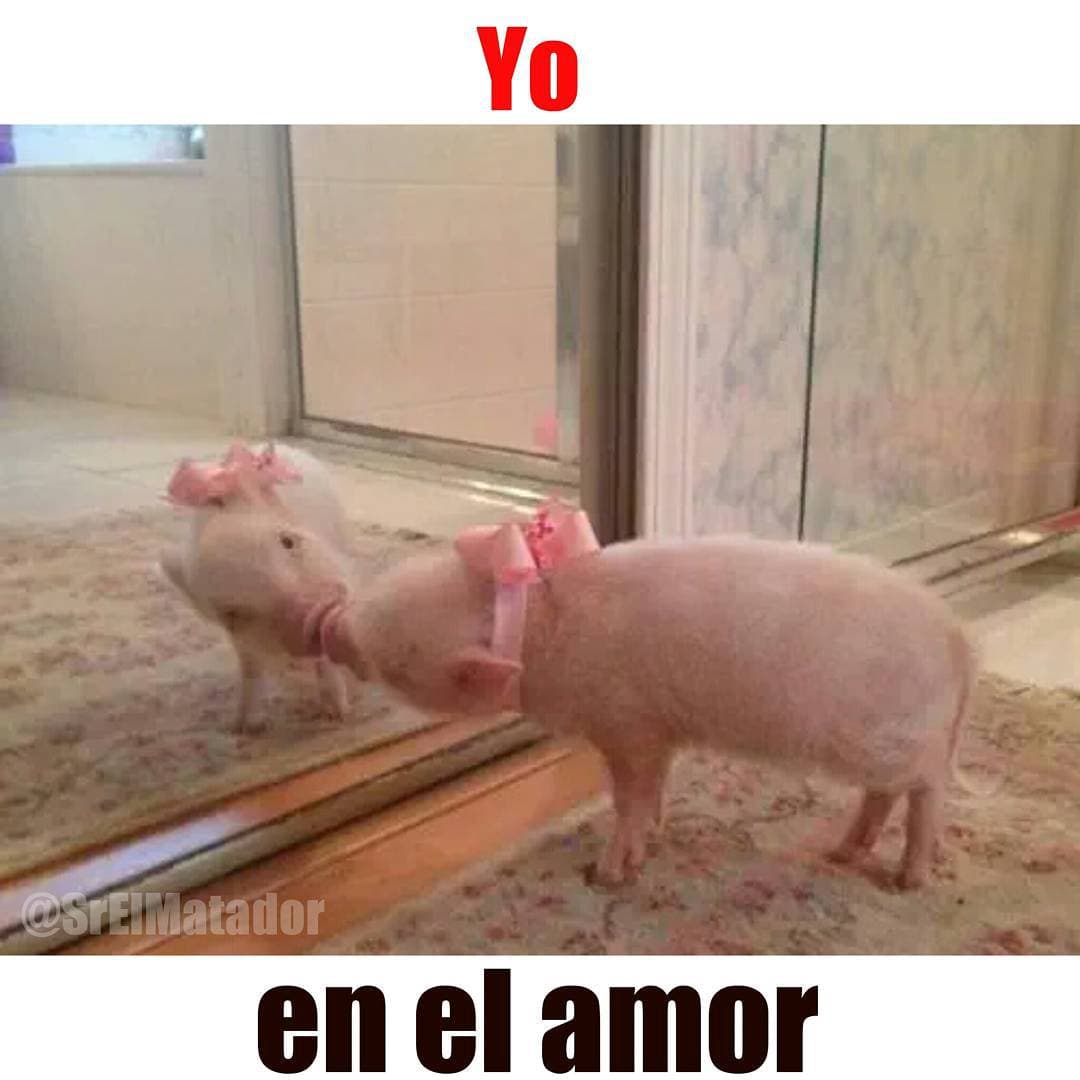 Tengas pareja o no, diviértete un poco con estas imágenes del Día del Amor y la Amistad.