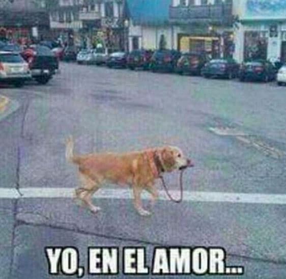 Tengas pareja o no, diviértete un poco con estas imágenes del Día del Amor y la Amistad.