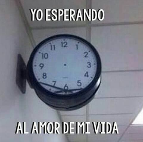 Tengas pareja o no, diviértete un poco con estas imágenes del Día del Amor y la Amistad.