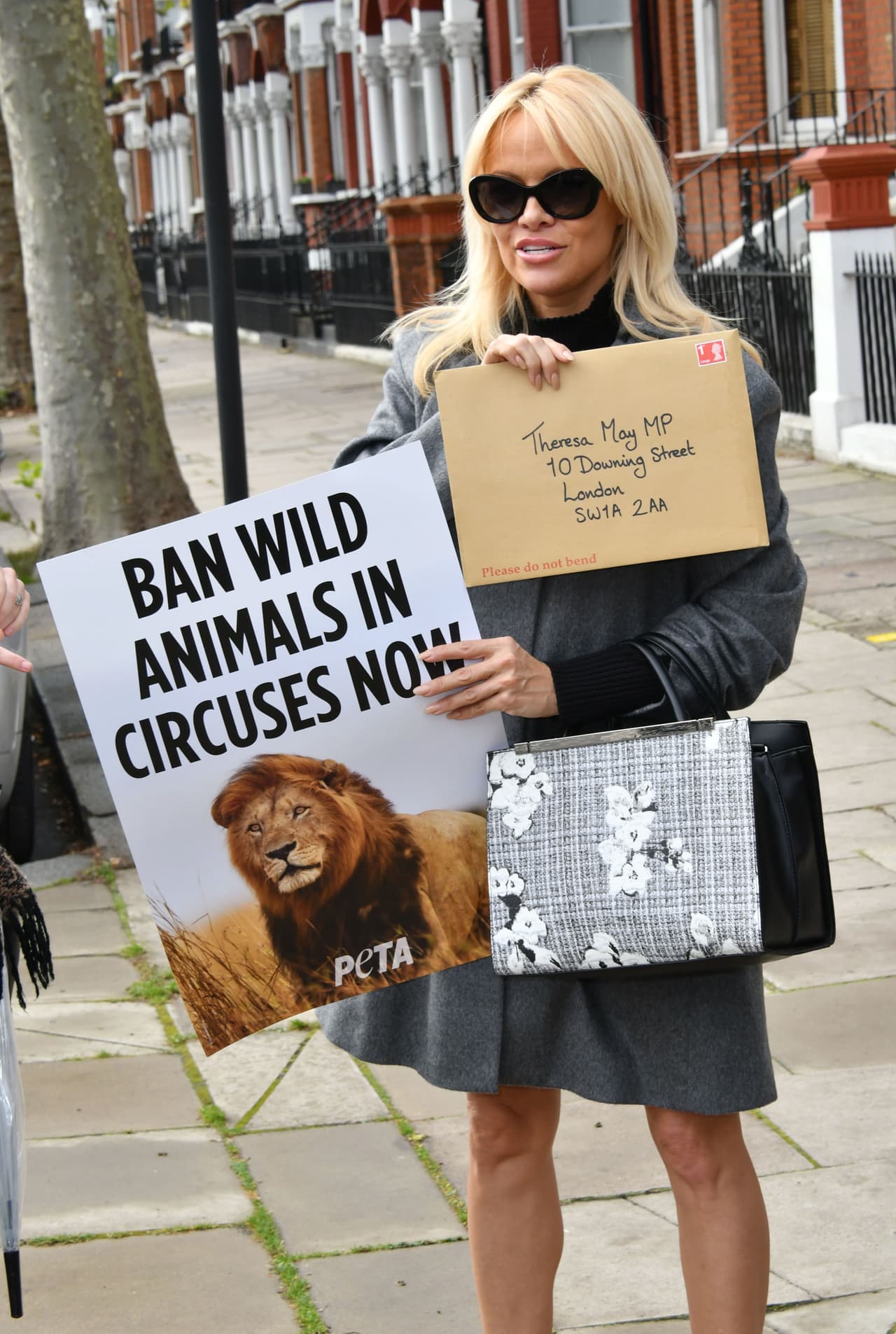 Particularmente, Anderson lucha para que prohíban a los animales en circos.