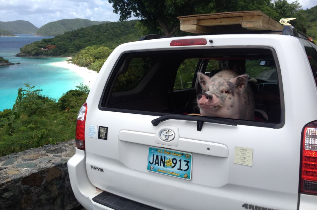 ¿Qué mejor oportunidad para ir de un lado a otro?