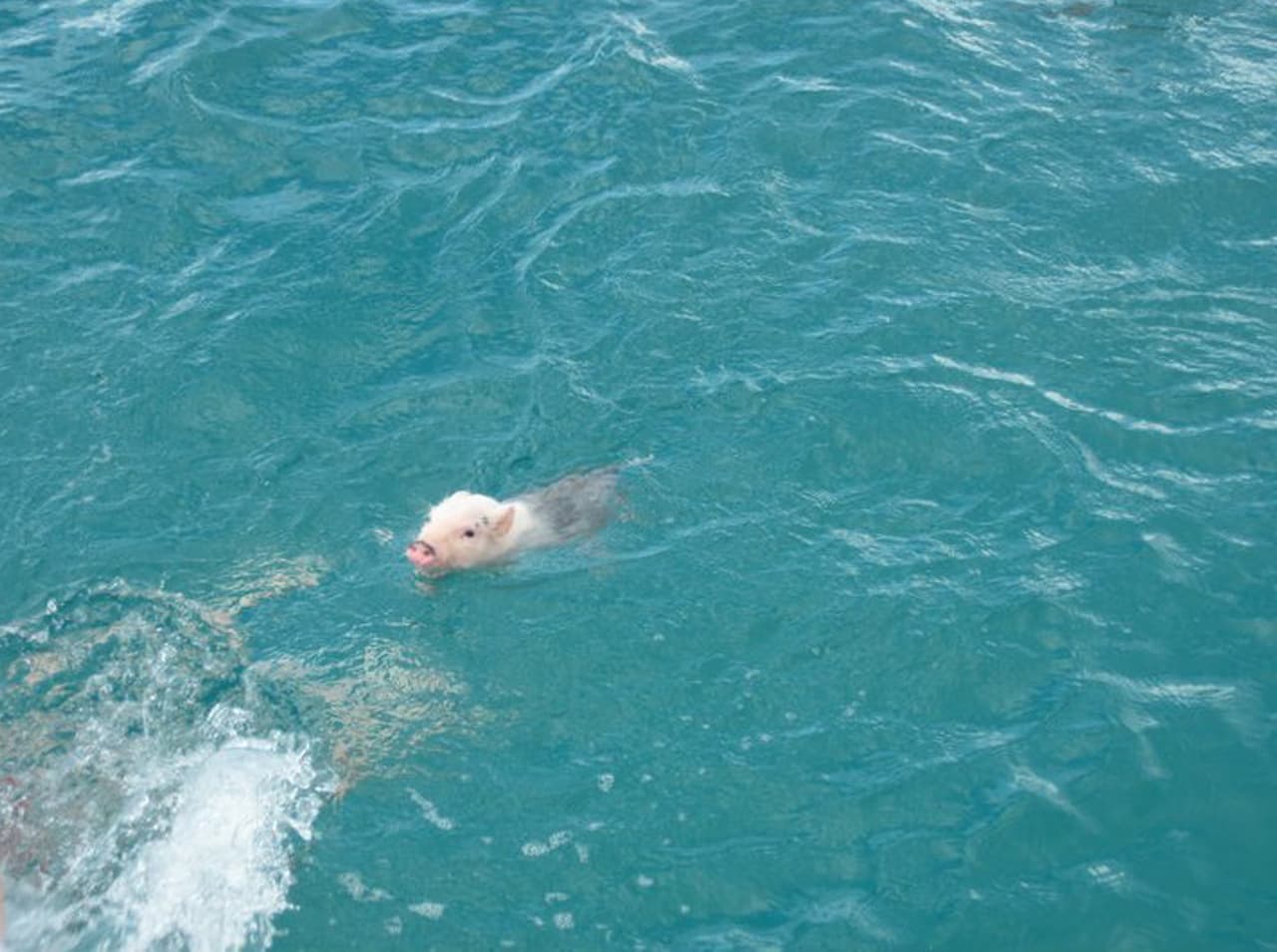 Sin embargo, Kristin y Jay sólo aceptan trabajos cercanos al mar, lagos, lagunas y ríos.