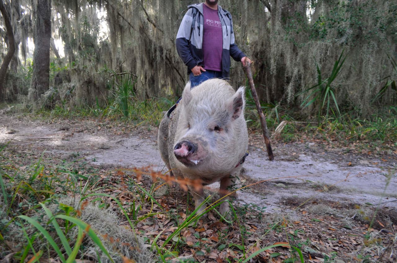 El hombre se encarga de arreglar, medir y mantener campos de tenis, lo que le hace viajar mucho.