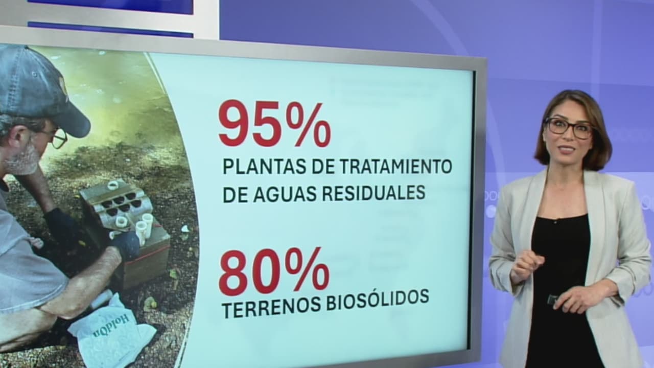 ¿Qué son los 'químicos eternos' y cuál es su relación con la contaminación del agua? Te explicamos
