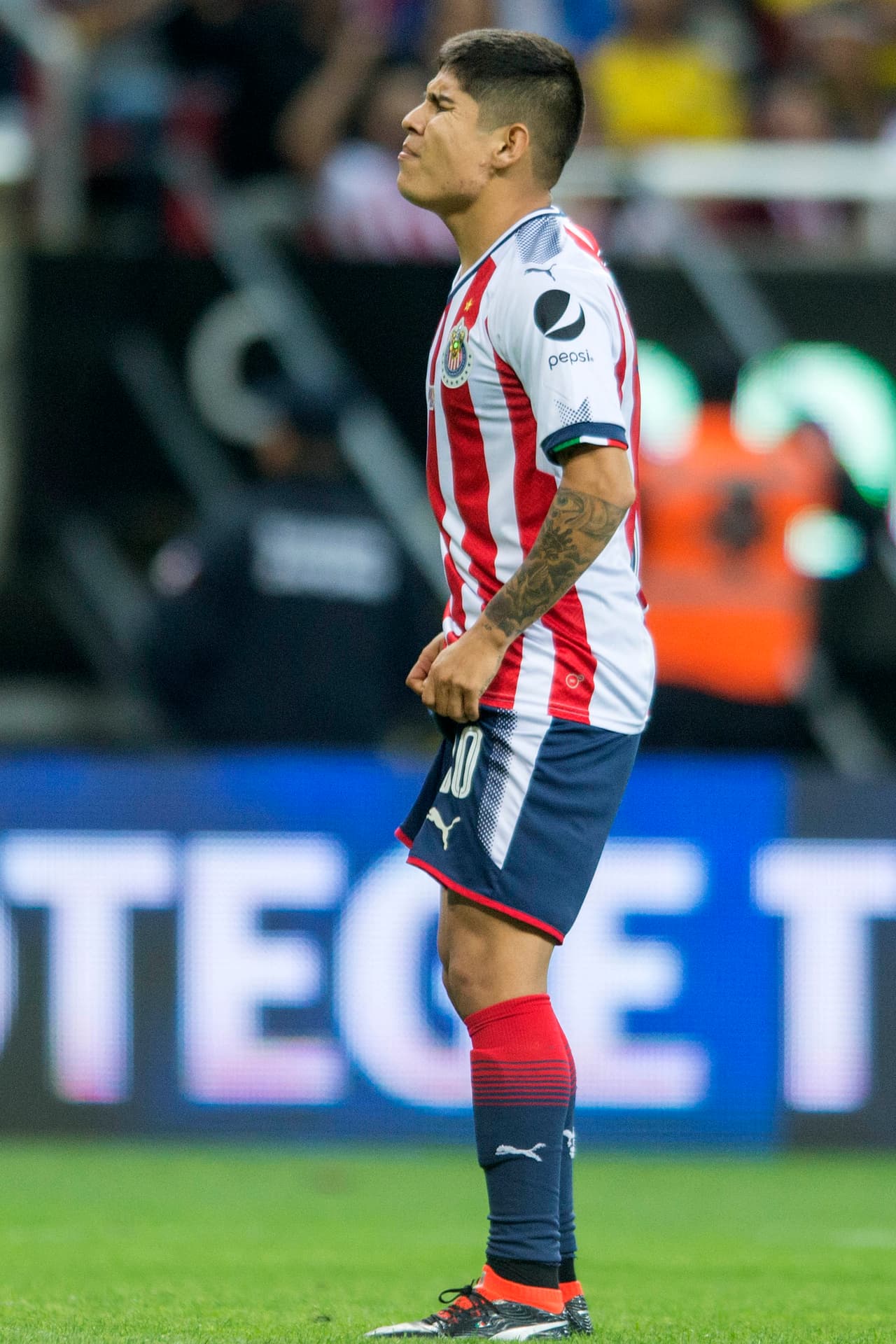 Para Chivas, este torneo para el olvido continúa la próxima semana cuando visiten a Lobos BUAP.