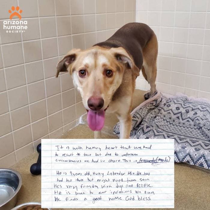 La nota con que dejaron a Armando.