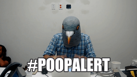 Un escuadrón de palomas decorará tu automóvil.