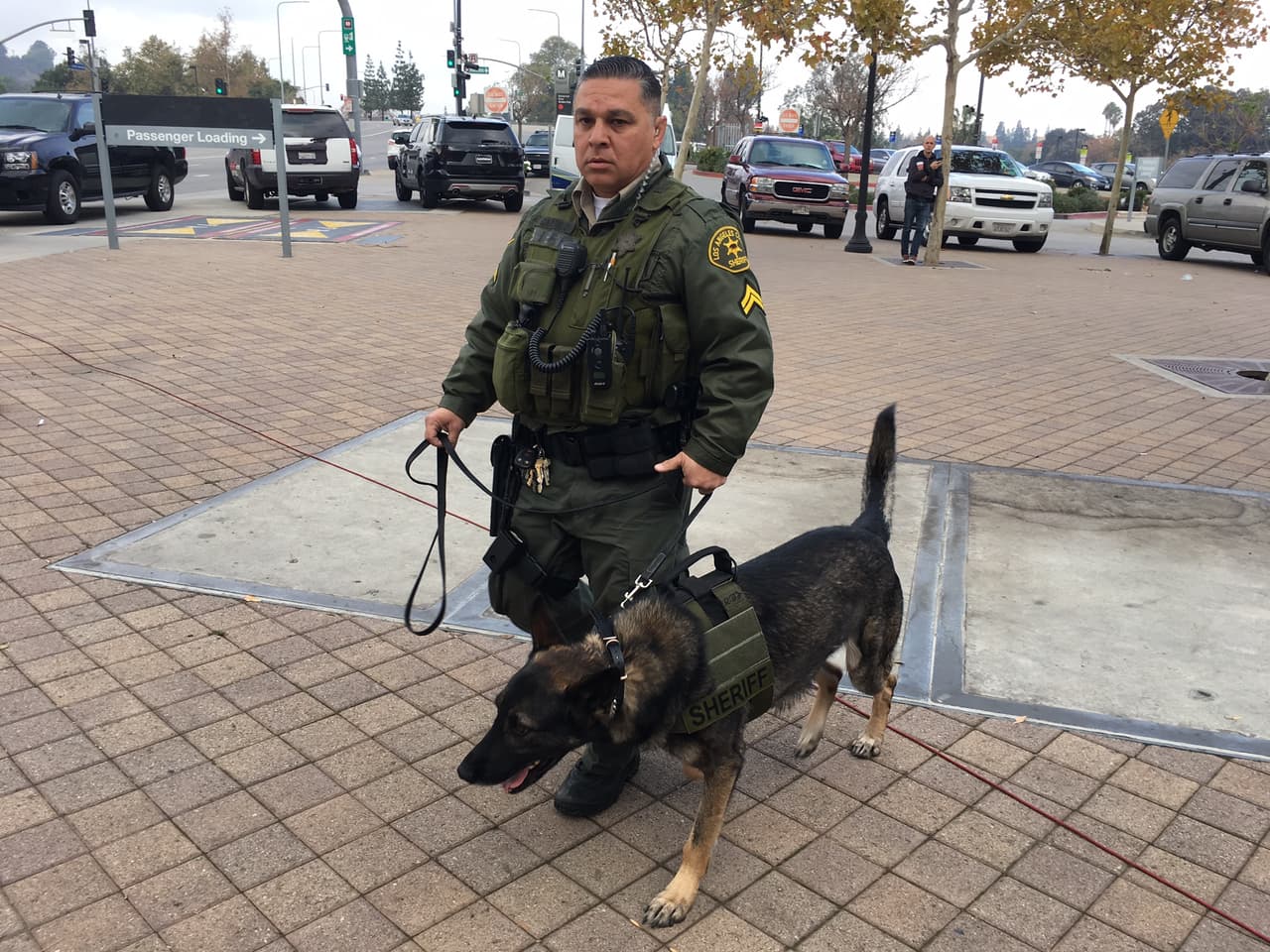 Perros policía fueron parte del operativo de seguridad que se implementó este martes en la estación Universal City.
