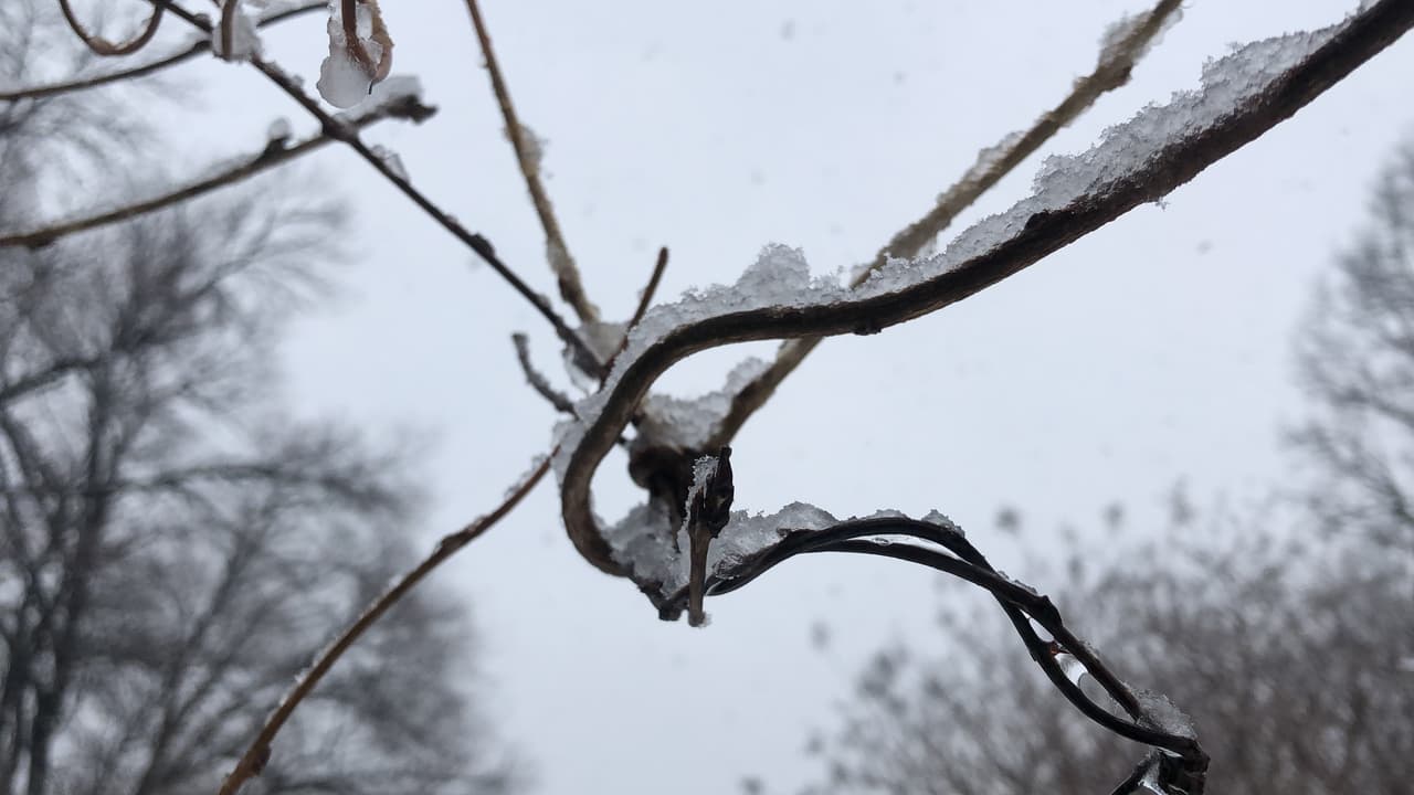 Frío intenso y más nieve esta semana para la región de Filadelfia 