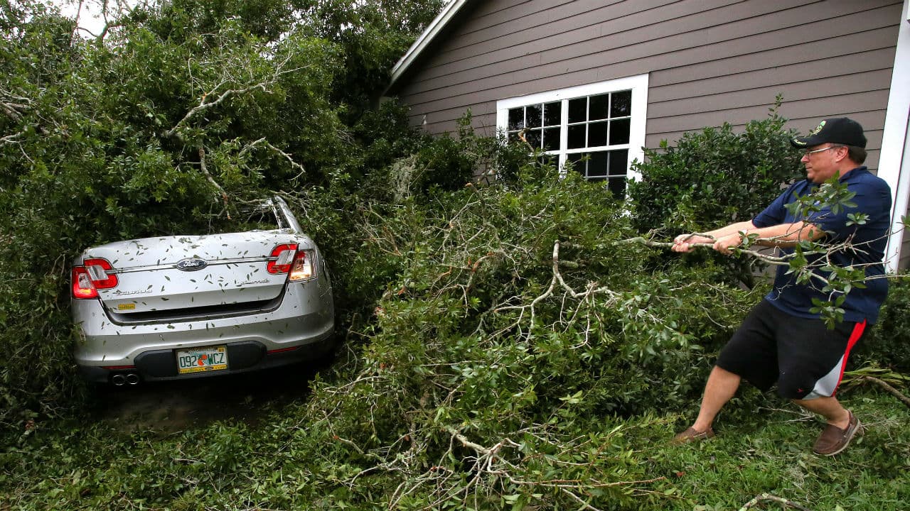Cientos de personas tratando de, literalmente, salvar sus autos que quedaron debajo de los árboles caídos. Algunos seguramente requerirán
<b>reparaciones como cambios de parabrisas, </b>cofres dañados o una manita de pintura.