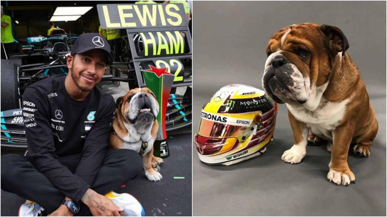 Lewis Hamilton comparte muchas fotos al lado de su perro Roscoe, un bulldog que lo acompaña a todas partes.