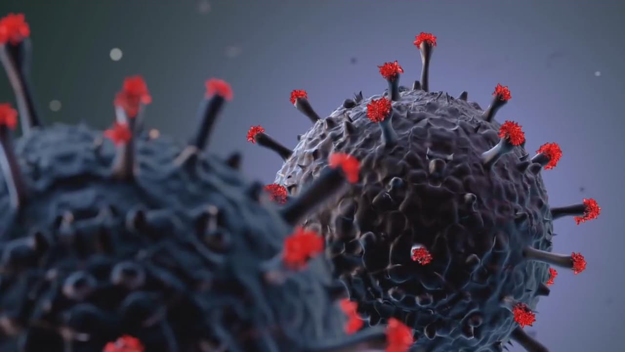 Para el sábado, 1,014 pacientes estaban hospitalizados con coronavirus y 99 de ellos están siendo tratados en unidades de cuidados intensivos, de acuerdo con datos del Departamento de Salud del condado.