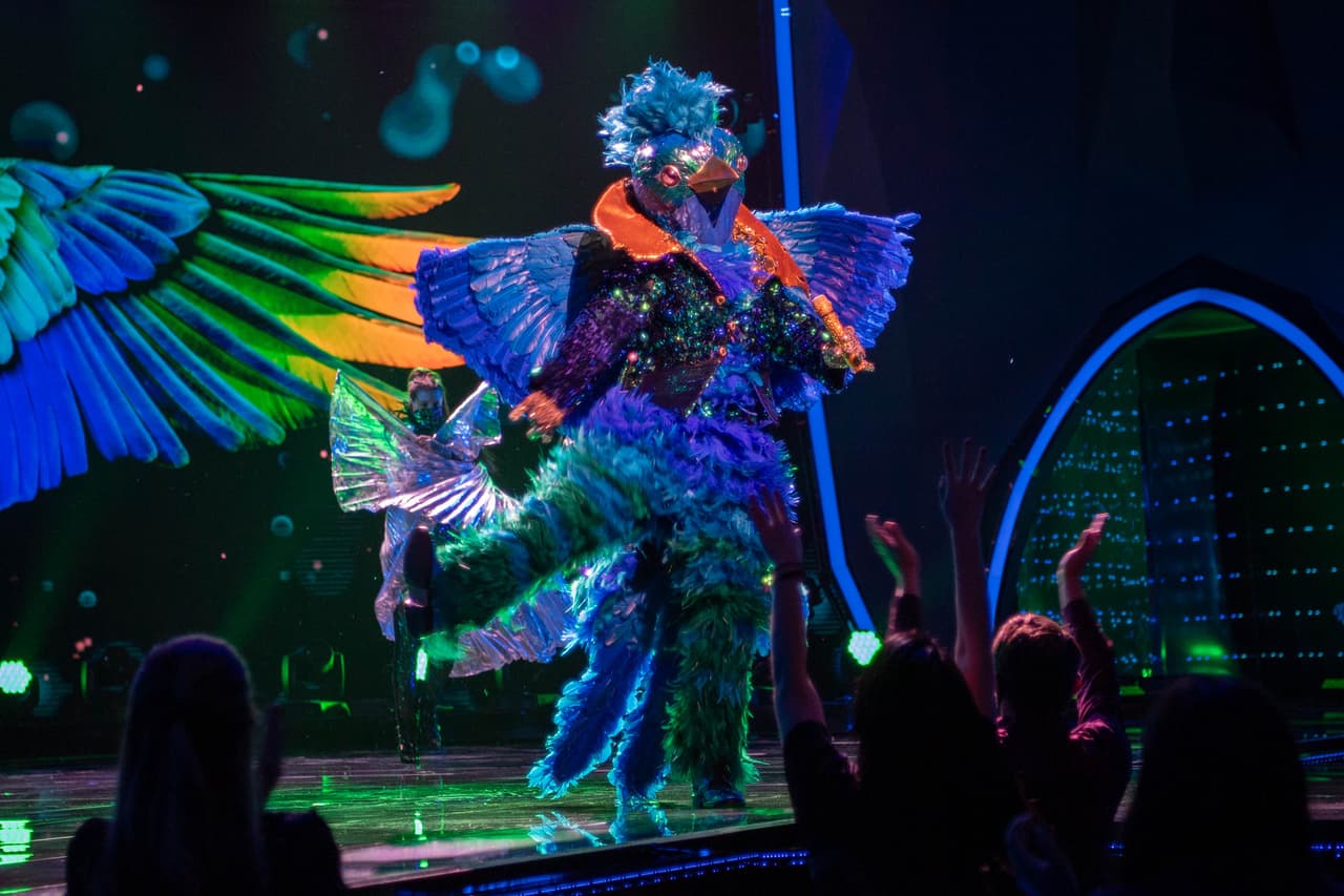 El ave trajo mucho ritmo en su participación en el segundo show con la canción 'Cinco Minutos' de Gloria Trevi. Para el cuarto programa, con una coreografía muy bien puesta y su voz, Quetzal realizó un gran performance con el tema 'Dance Monkey'.